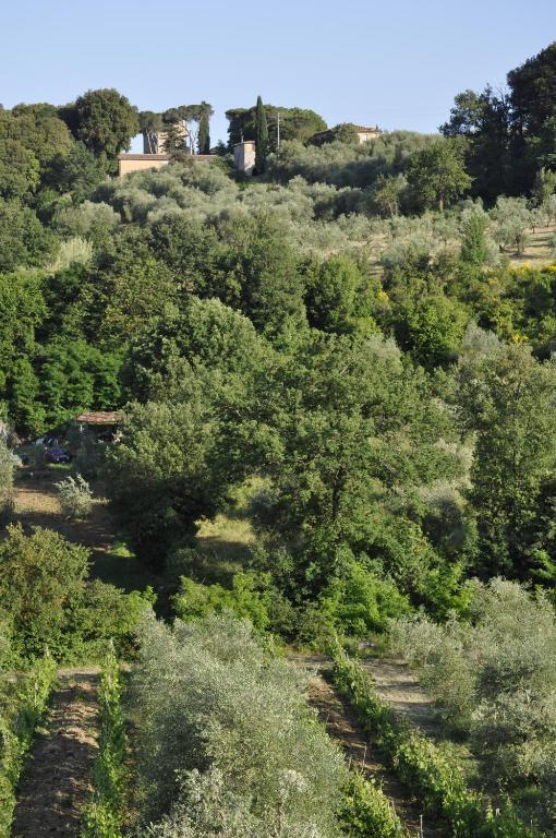 Agriturismo Malafrasca シエーナ エクステリア 写真