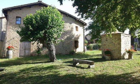 Agriturismo Malafrasca シエーナ エクステリア 写真